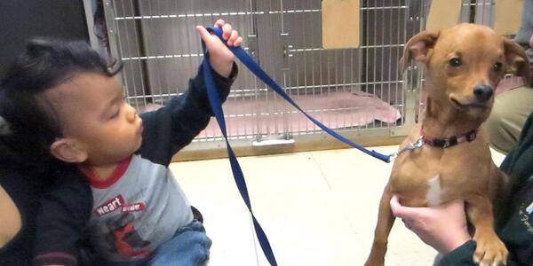 Sweet story about a boy and dog