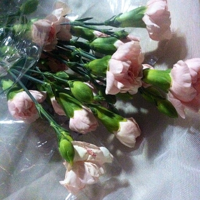 pink flowers and dress