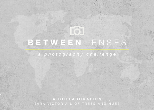 Between Lenses