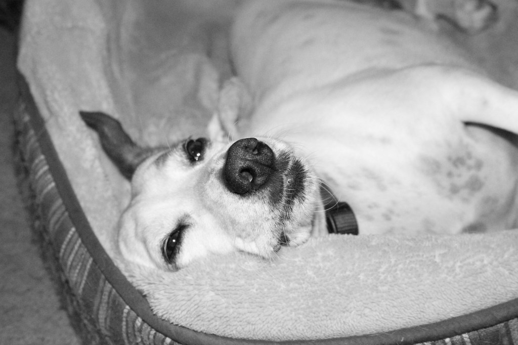 Between Lenses: Mornings