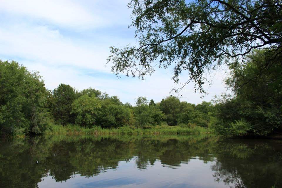 Boise, ID: City Guide